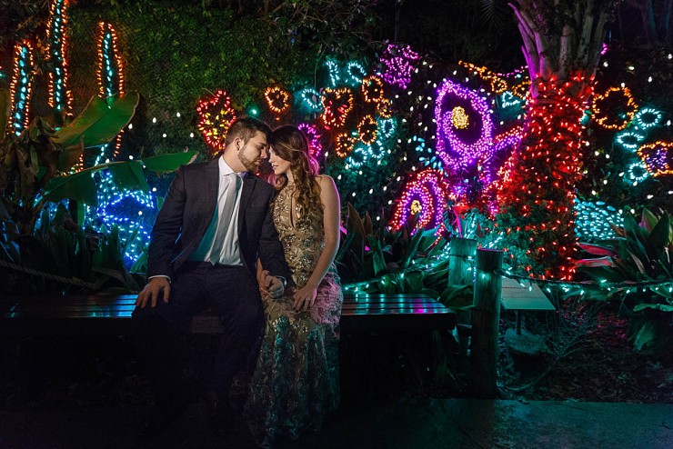 Magical New Year's Engagement Session At The Houston Zoo