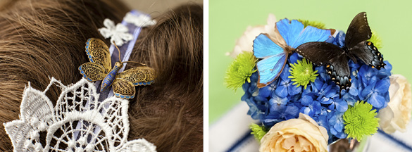 butterfly wedding attire and decor