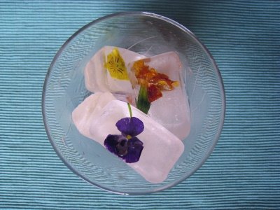flower-ice-cubes