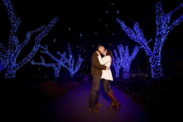 Winter engagement photos at Meadowlark Botanical Gardens