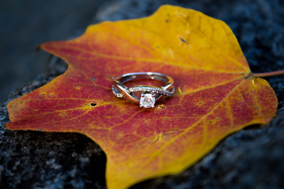 Minneapolis fall engagement photos--Justine Diffee