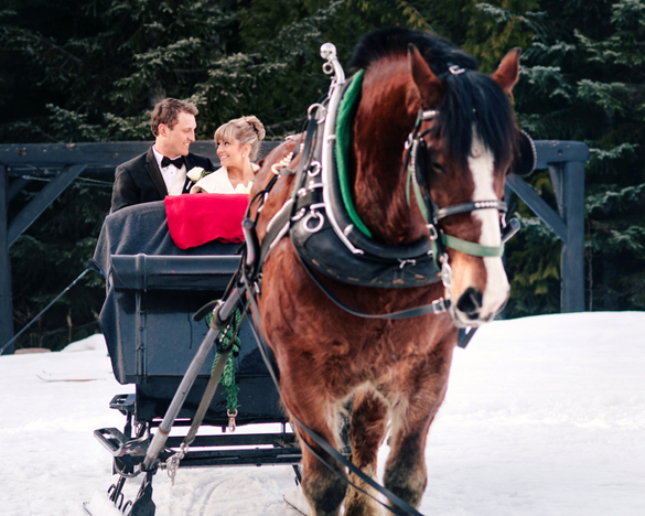 Bride and Groom on horse-drawn sleigh for winter wedding