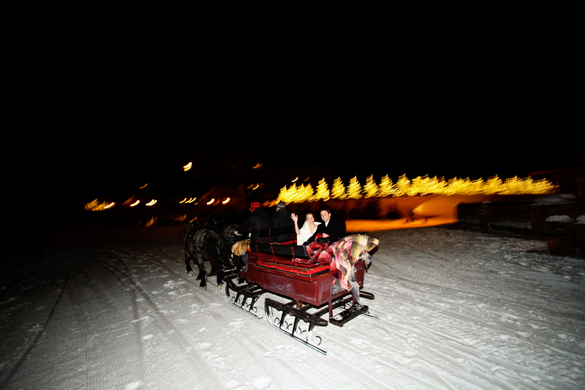 Horse drawn sleigh in winter destination wedding at Deer Valley Ski Resort in Park City, Utah