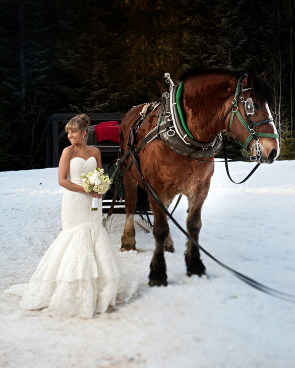 bride and horse drawn sleigh. Winter wedding in Whistler, British Columbia