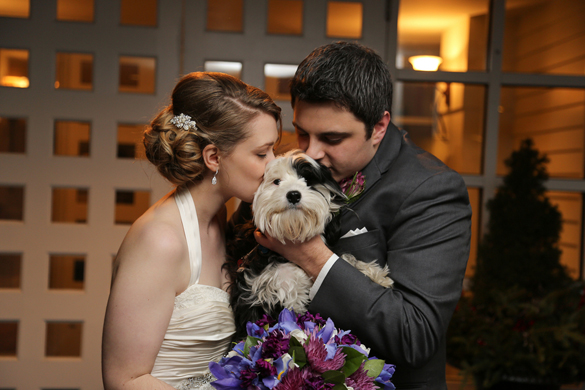 bride and groom with puppy