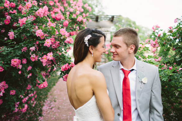 bride and groom in rose garden for outdoor wedding ceremony